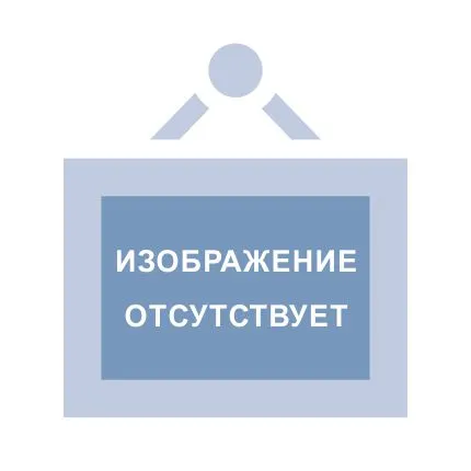 Печатающий механизм PT488A-V4 (PRT) без прижимного вала для Эвотор