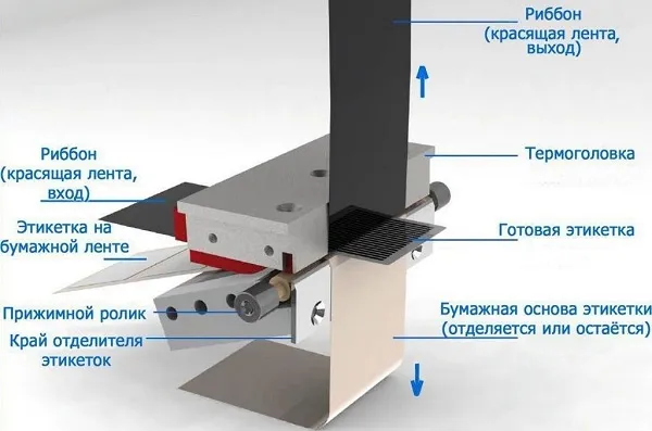 На фото – схема печати термотрансферного принтера на бумажной этикетке