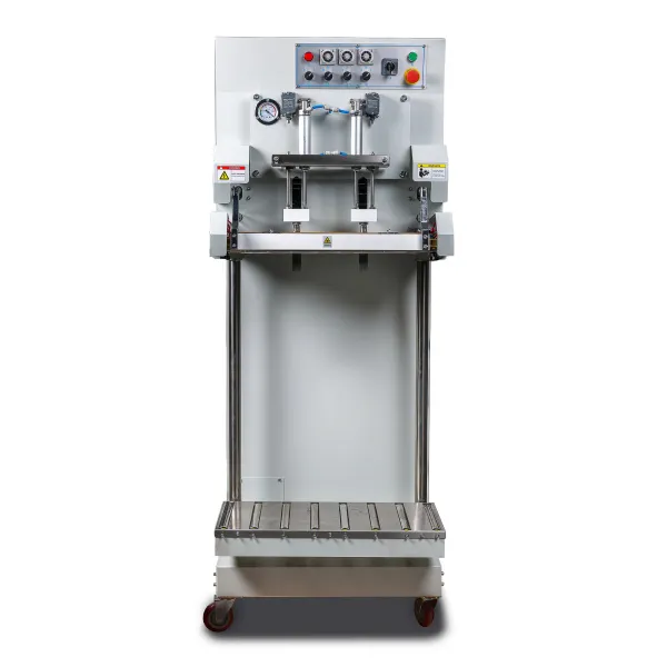 Вакуумный упаковщик DZQ-600L/S